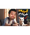 گربه خریدم  بهترین رفیق تنهایی copy cat