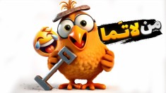 مرغ های عشق لاتی  بکش یا ناگت مرغ شو