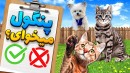 گربه و سگ خریدم  سرپرستی حیوانات خیلی باحاله animal shelter