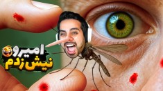 زندگی پشه ای  فهمیدم پشه ها شبا کجا میرن