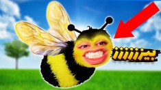 بچه فامیلو نیش زدم  زندگی زنبوری