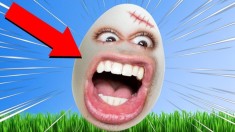 زندگی تخم مرغی  مرغای لعنتی دیوونم کردن