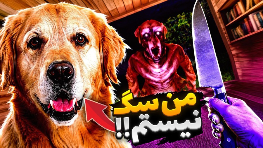 این سگ عادی نیست  داستان سگ شیطانی