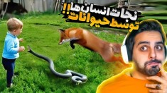 نجات جون انسان ها توسط حیوانات !! وفادارتر از این داریم ؟؟