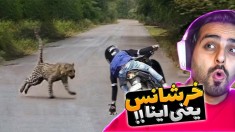 خرشانس ترین های دنیا !! شاید برای شما هم اتفاق بیفتد