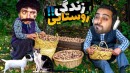 زندگی روستایی پارت 8 - خوک هارو کتلت کردیم  هاشم بخاطرش گریه کرد 