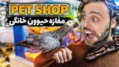 مغازه حیوون خونگی زدم  پت شاپ خوراکمه 