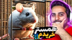 مغازه حیوون خونگی 3  پت شاپ اما همستر خریدم ولی 